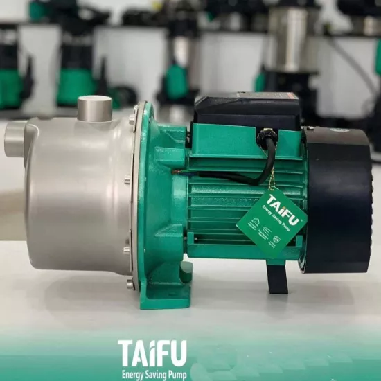 Taifu Sgj800 Çelik Paslanmaz Jet Pompa 1,1 Hp
